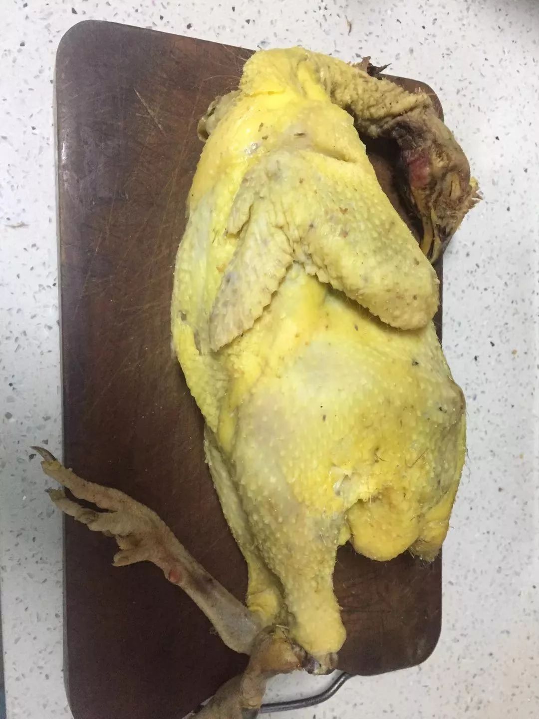 钱真多毛腌鸡01.