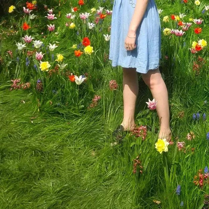 绿色系头像要想人生裹得过得去总要头上带点绿