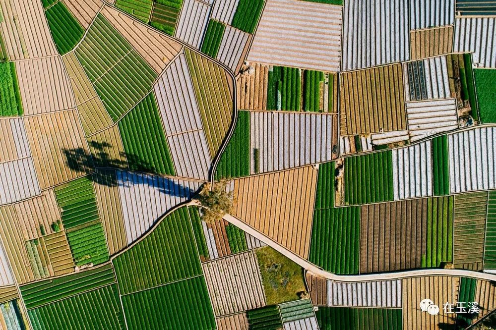 行摄玉溪等到烟消云散拥抱春暖花开