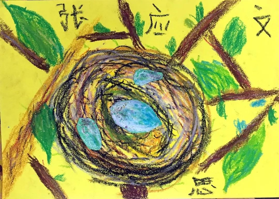 【微课程】可爱的鸟巢