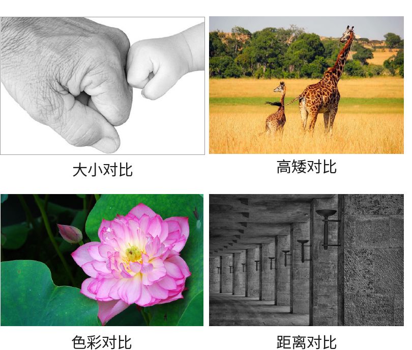 画面太平对比原则掌握了吗