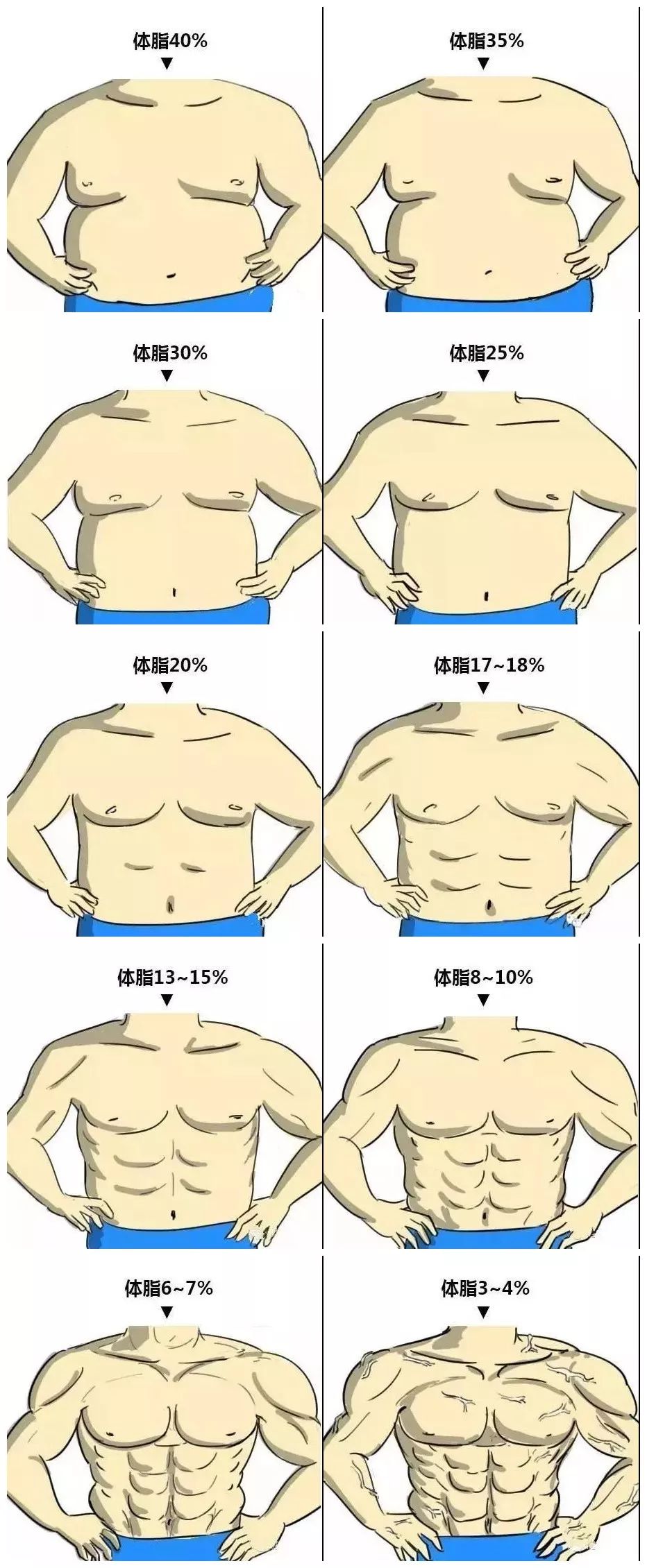 男体脂率体型对比图要胖还是瘦,身体的脂肪含量是关键,所以,比