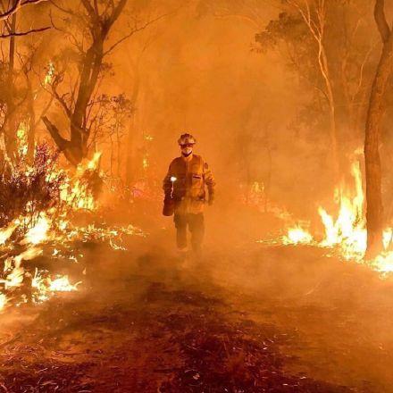 大火过后的澳大利亚变成了什么样子
