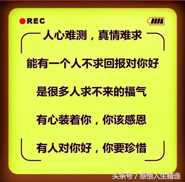 人心难测,真心难求
