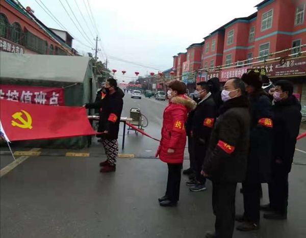 全国人大代表,宋集村党支部书记刘香莲:疫情面前显担当