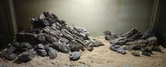 三湖造景之青龙石实践篇
