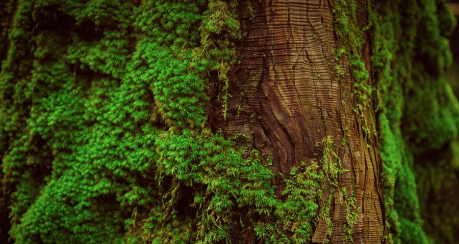 这两件事家电企业应该马上干：安全开工复产，帮扶合作伙伴！-家电圈官网