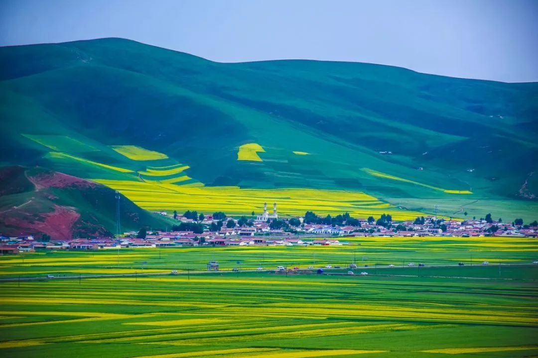 周末话题神游美景你还记得中国的春天有多美吗