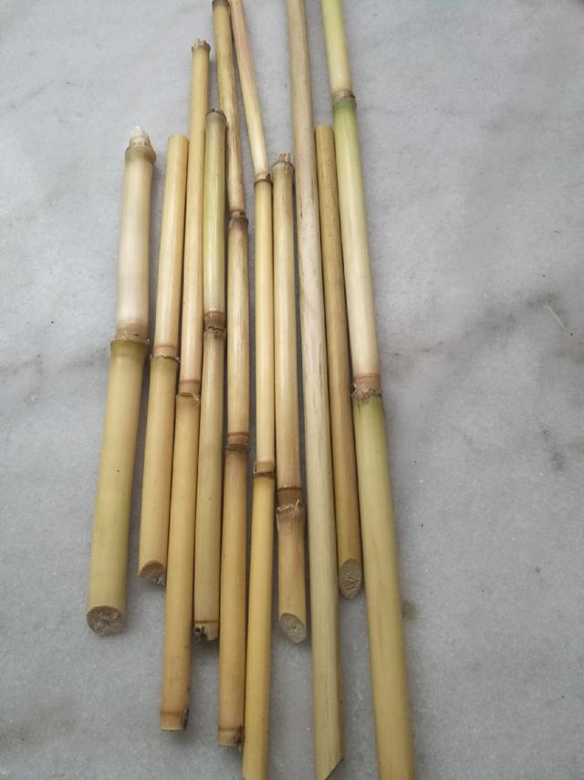 浅析芦苇,南荻和芒草的属性和在浮漂上的使用持点_韧性