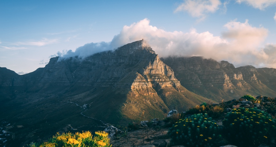 非常时期家电业的危与机,海尔美的长虹TCL方太索尼松下都一条心-家电圈官网
