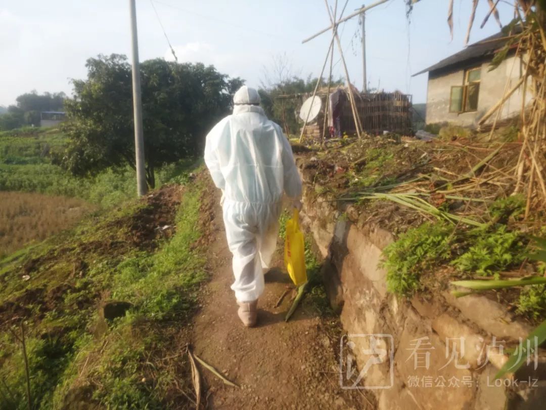 由泸州市妇幼保健院及古蔺,叙永,泸县,合江公立医院的医护人员组成的