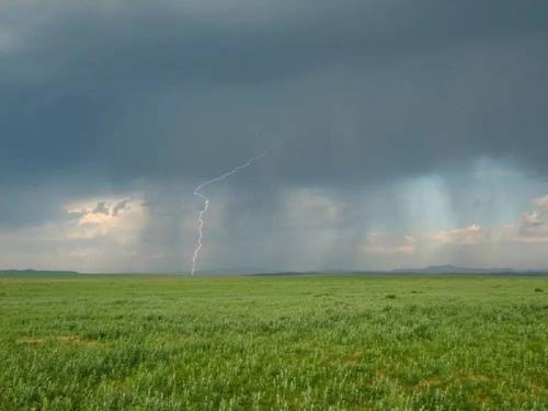 春雷,奏响生命的序曲