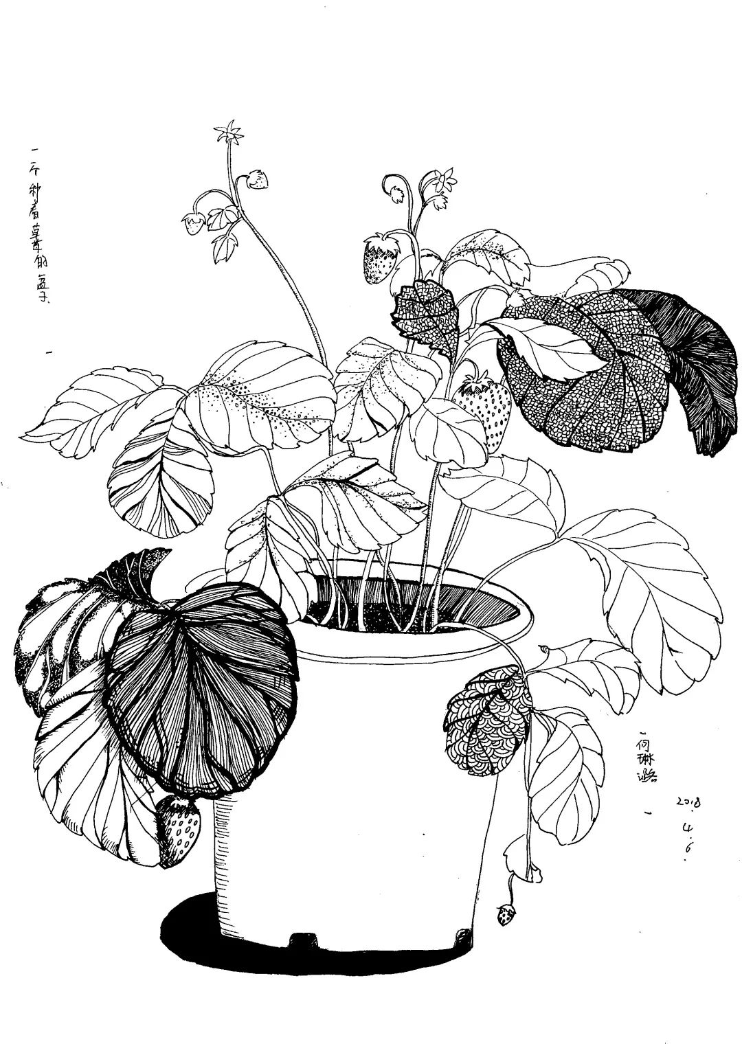 元音假期线描写生发现家中的美