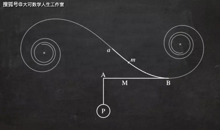 藏在老鼠胡须上的优美曲线欧拉螺线