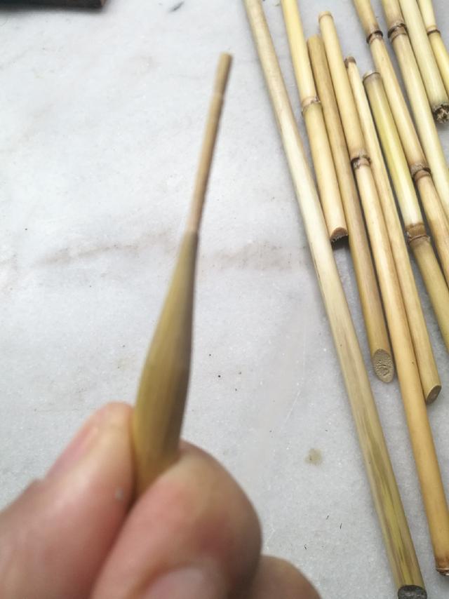 南荻与芦苇的区别,意思(第11页)_大山谷图库