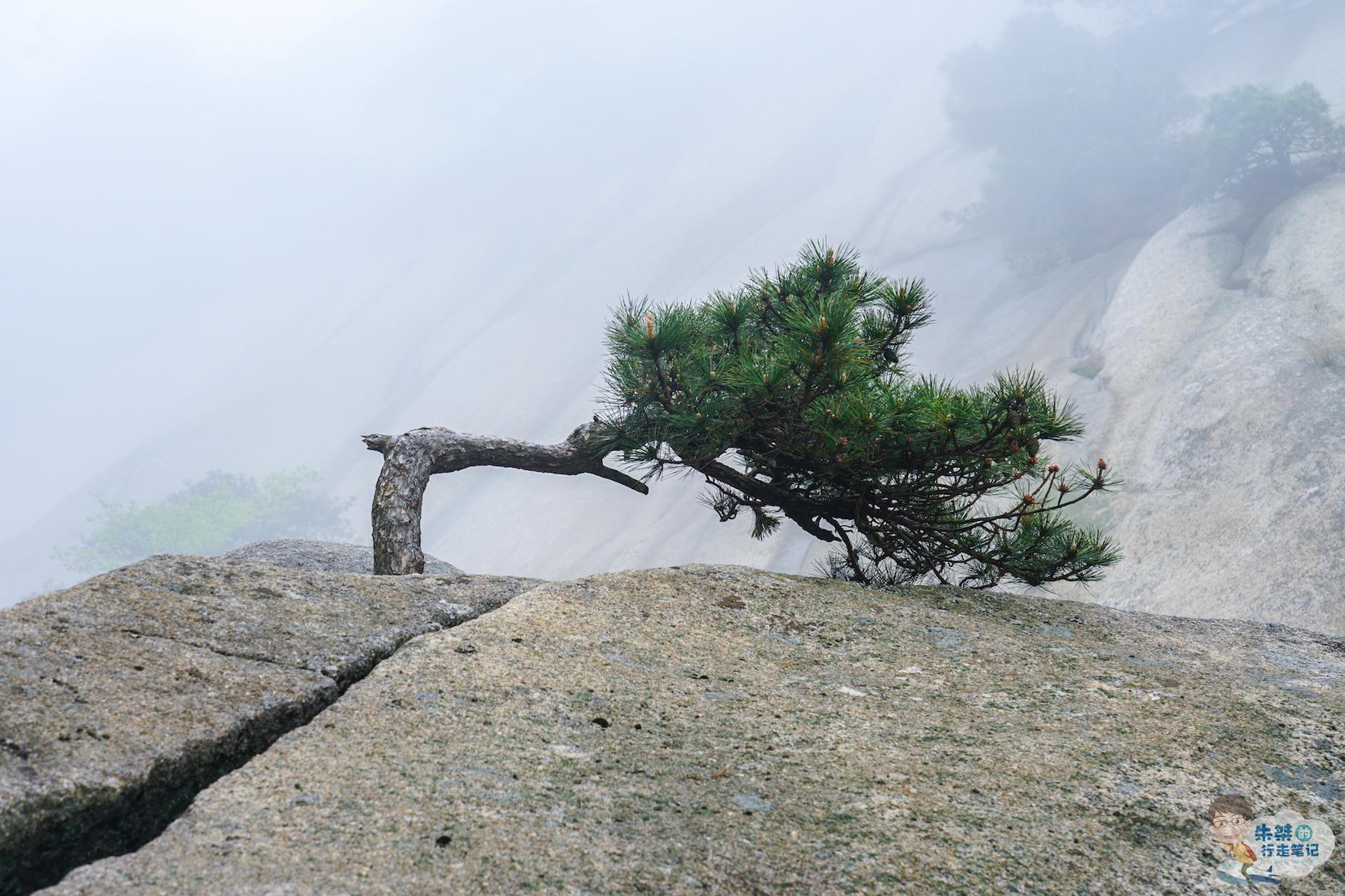 安徽省三大名山之一被誉为江淮第一山且安徽简称皖与它有关
