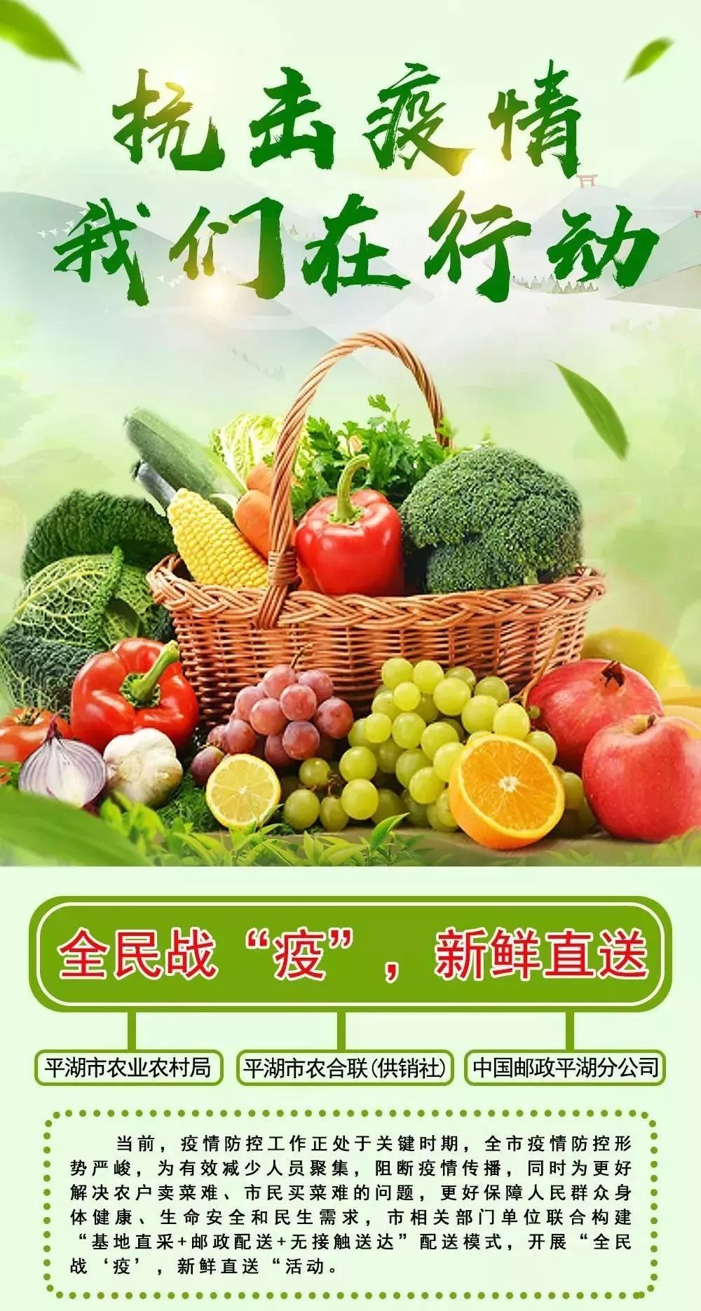 蔬菜直供