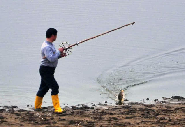 原创钓鱼人嘲讽"锚鱼",是否是五十步笑百步?