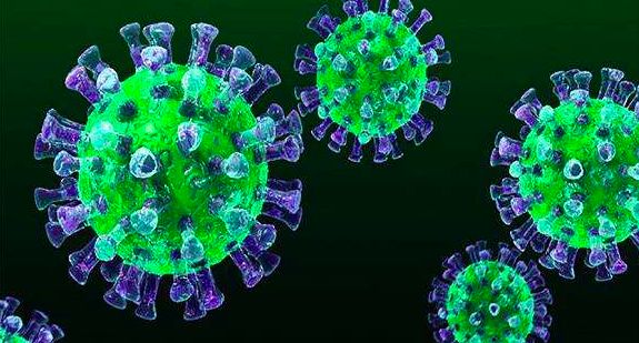 人类历史上的10次大瘟疫_病毒