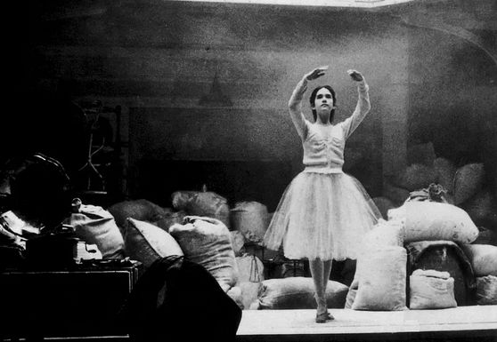 看完欧美电影里的经典尤物原来美人都是上帝创造的艺术品