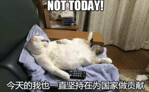 躺在家里也能为国家做贡献的时候到了.
