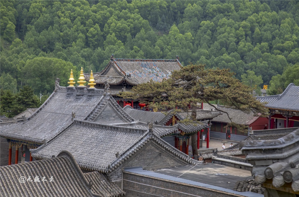 截止2018年底,五台山有寺庙禅院86处,其中多为历代封建王朝敕建寺院.
