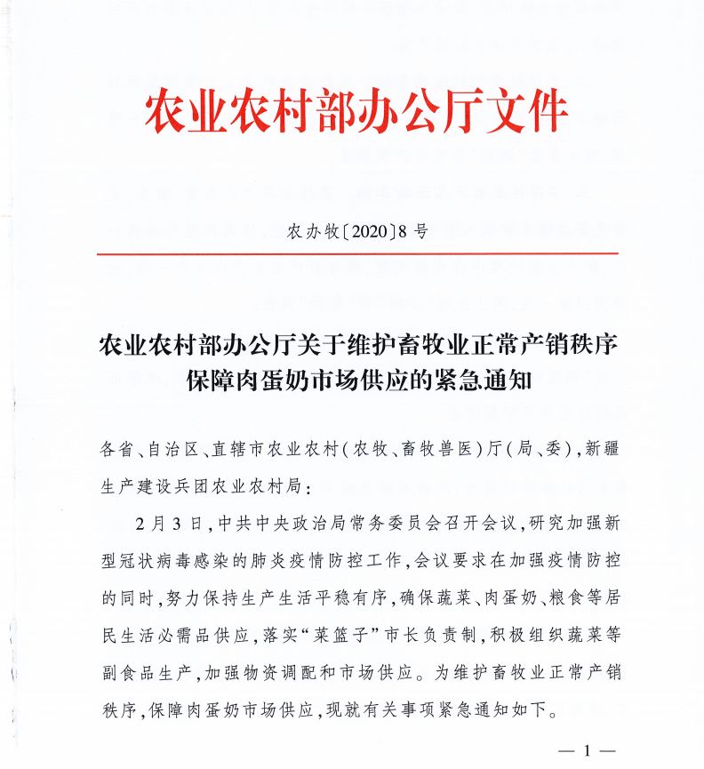 探索青岛原始牧业的绿色脉动