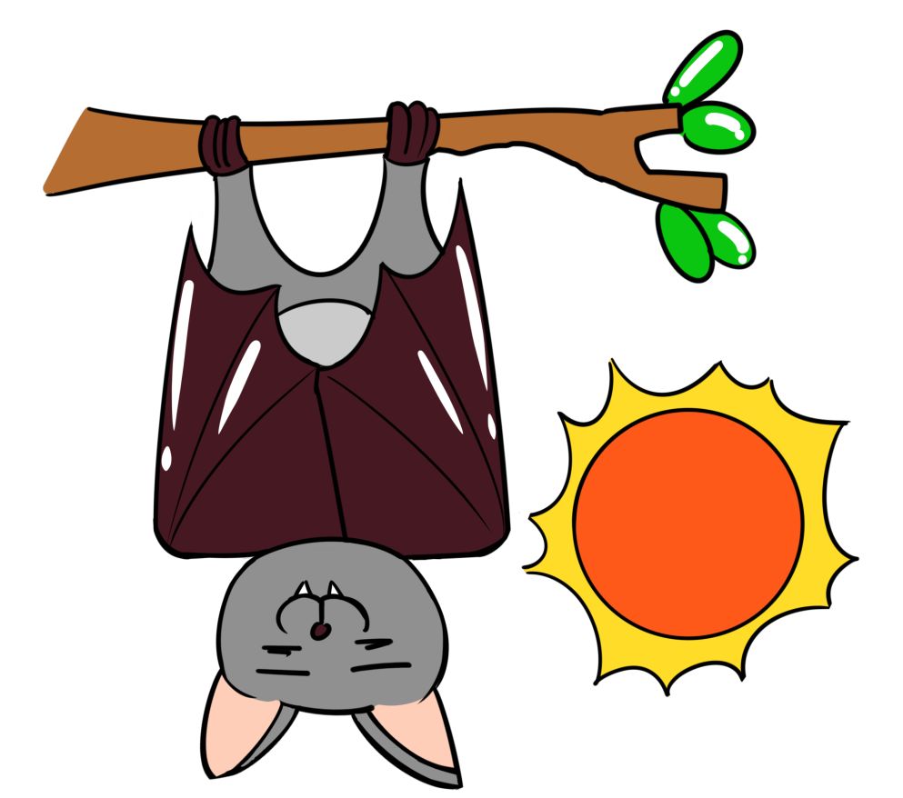 一直蝙蝠的自述我是一只可爱的小蝙蝠