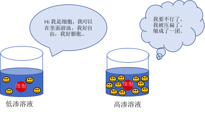 等张溶液 来自搜狐网