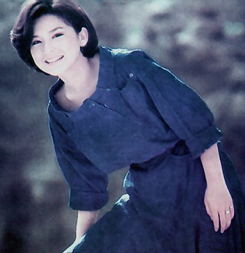 陈淑桦年轻时的照片图片