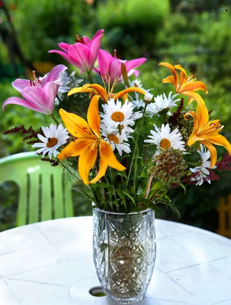 常种施恩花不图感恩果