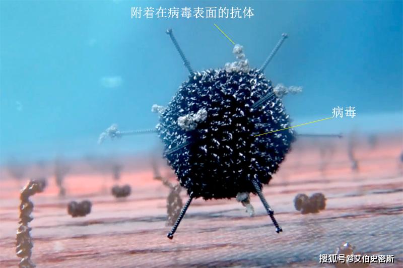 万物相生相克那么病毒存在天敌吗