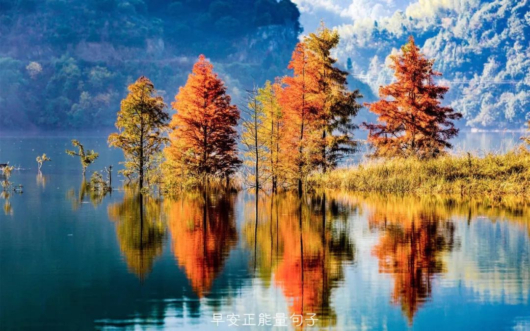 早安心语阳光唯美图片 新的一天开始精美语句