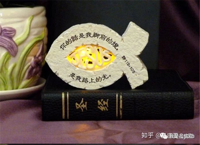 与众不同的圣诞礼物,就在这里!_圣经