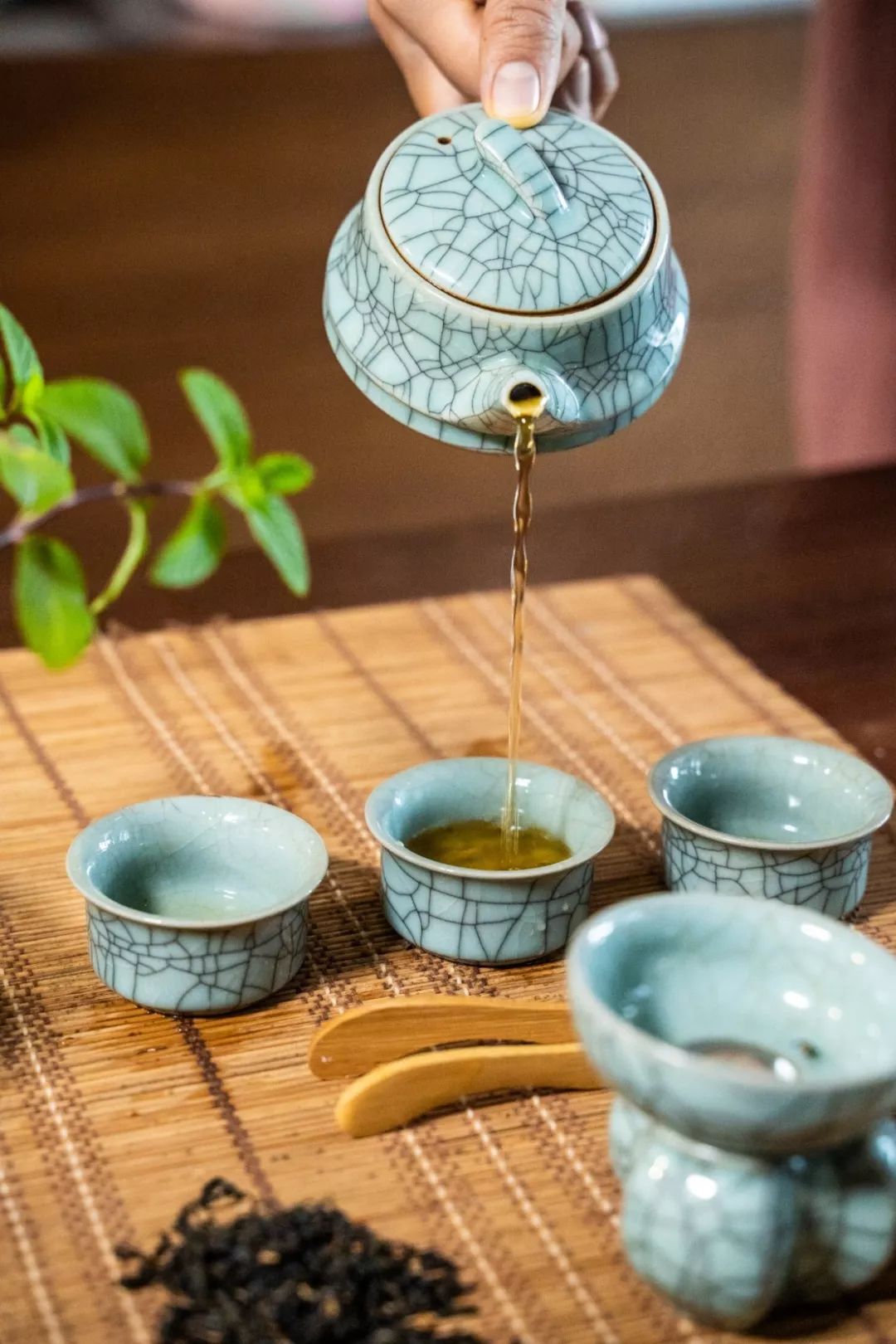 联众战疫丨茶香满室与您共品宅家学会喝茶学会泡茶用茶修养高端气韵