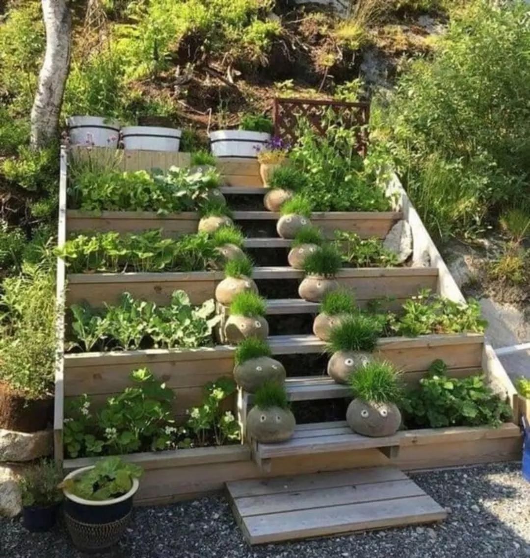 把院子改成菜地何尝不可