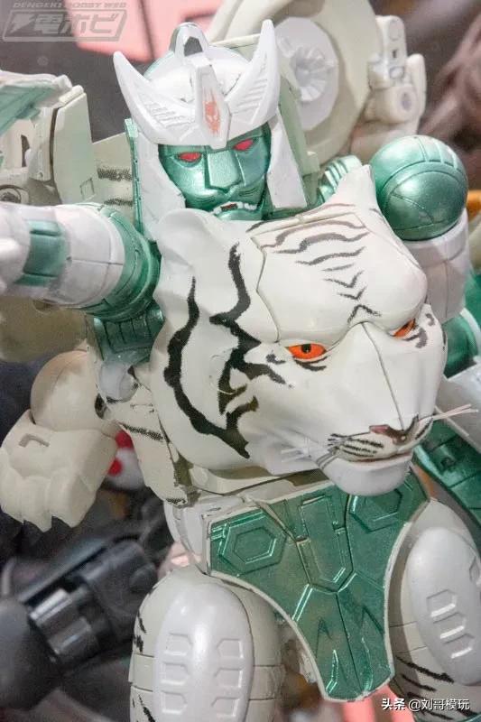 放大改模版黄豹勇士mp50白虎勇士实物公布