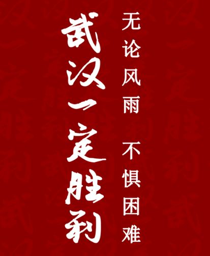 相信在这种八方支援的情况下,为中国加油,为武汉加油!