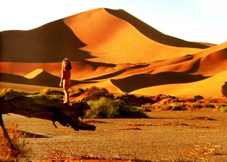 蒂皮在非洲大陆呱呱落地前,她爸妈就已经把镜头对准了非洲草原上的