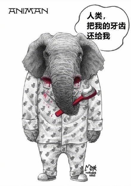 漫画如果动物会说话人类请不要伤害我