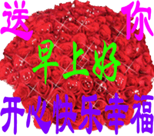 500_443gif 动态图 动图