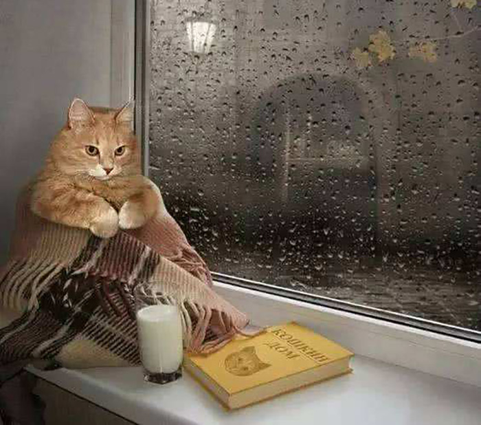 在这个喧嚣吵闹的城市里,一个人,静静地独坐窗