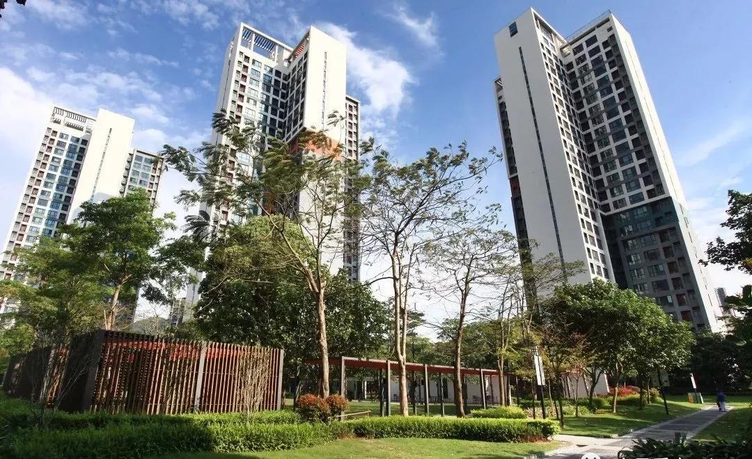 大社区坂田第五园万科里城