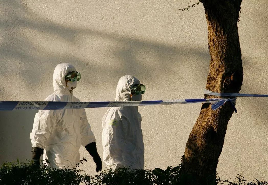 今天没有关于疫情的新闻但有些憋了很久的话想说