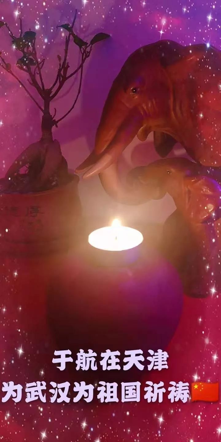 阿姨来了点万家灯,为武汉祈福!_疫情