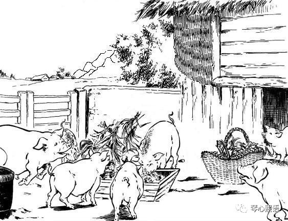 一次,我刚打开猪圈门,有个家伙就从门里溜了出去.