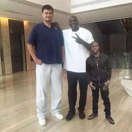 哈哈一米九二的猛男巨石强森估计再也不想和nba球员合影了