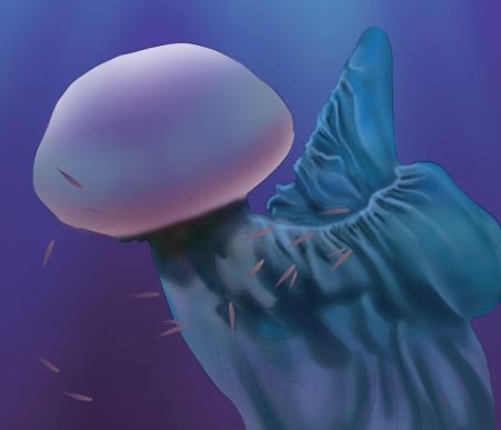 冥河水母外形像电影里的,是深海最令人恐怖的水母之一.
