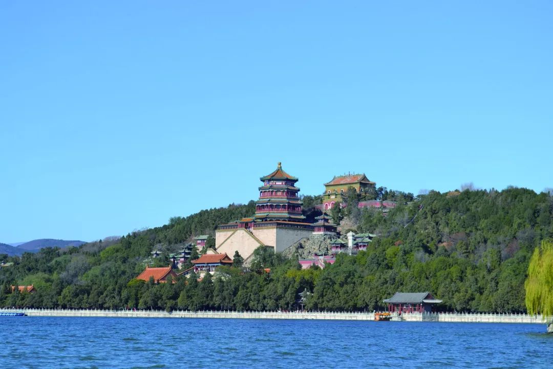 天幼线上课堂停课不停学让娃开心宅在家大班