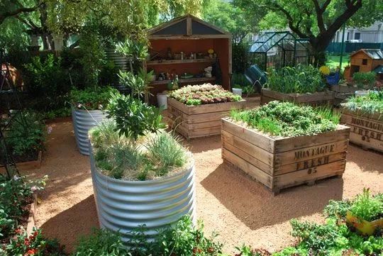 把院子改成菜地何尝不可